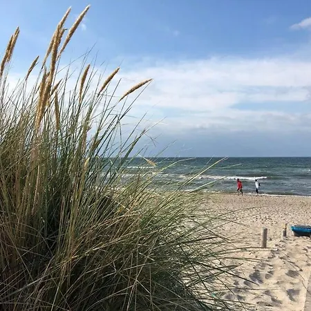Wiedblick Neu Gaarz