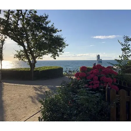 Wiedblick